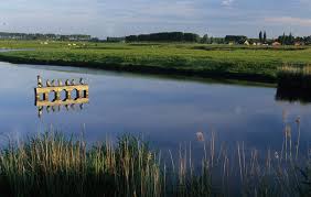 Meetjesland