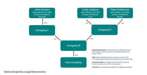 Organizational chart 1