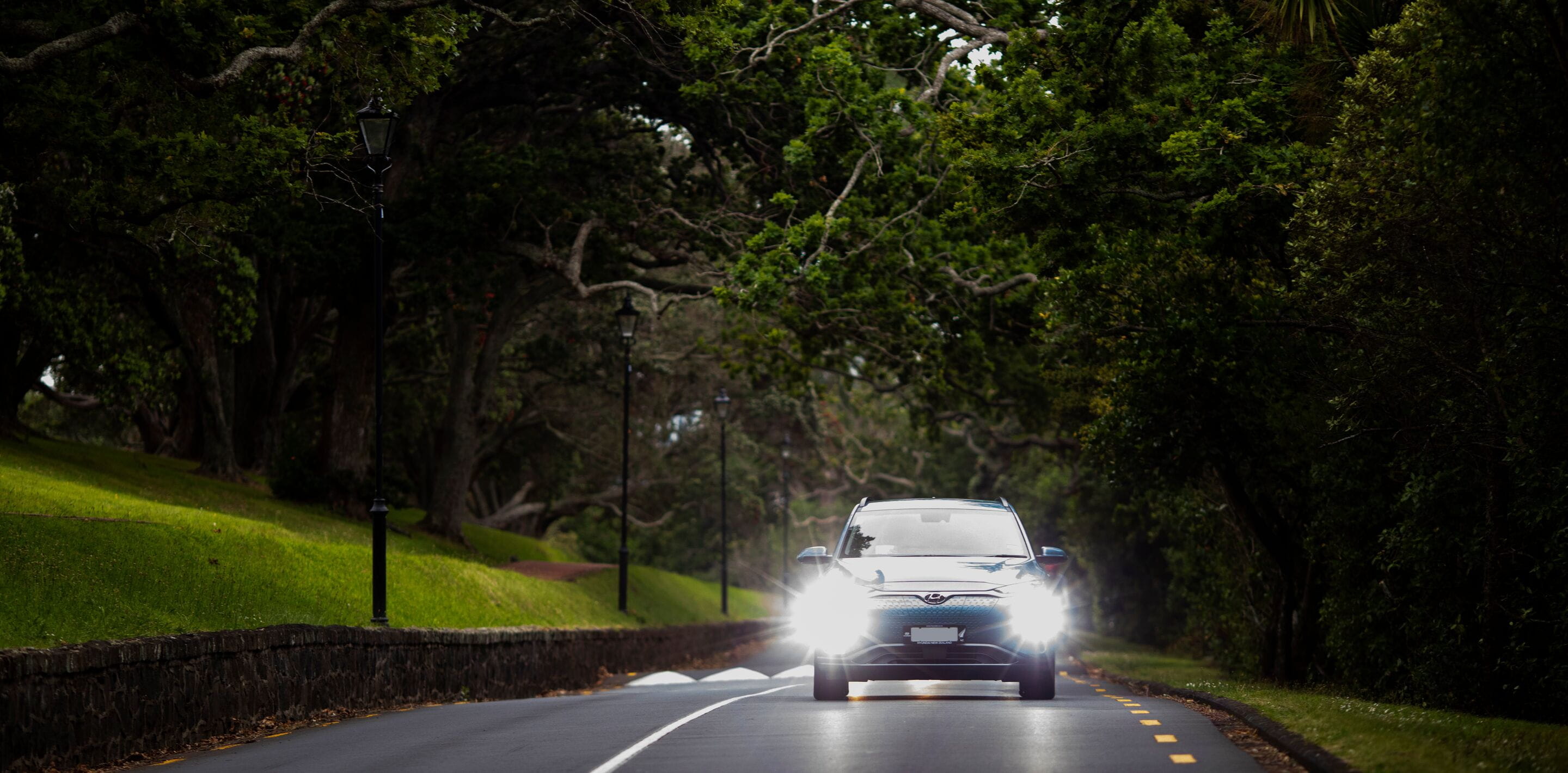 website-header-large-nz_20_50