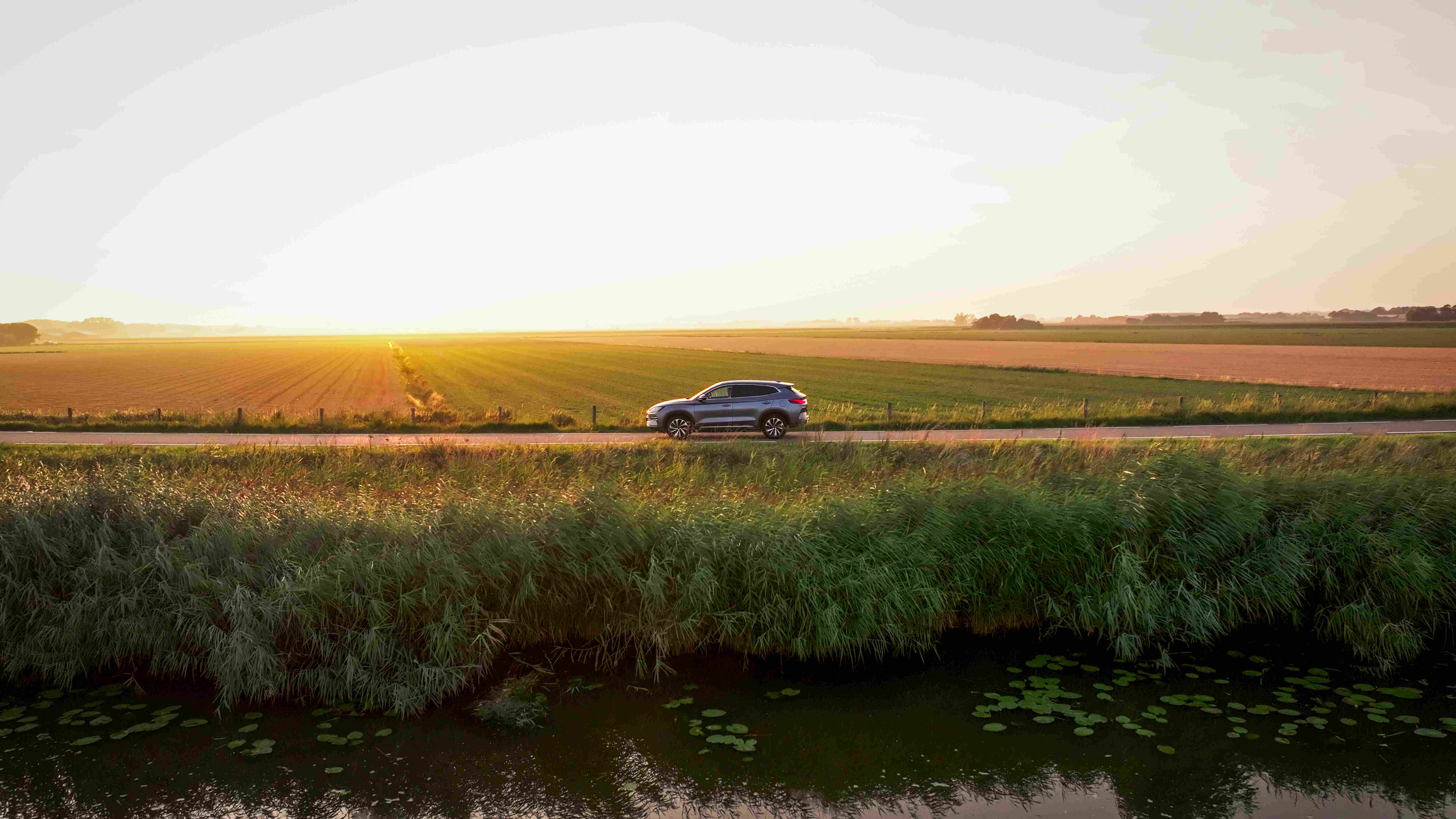 Byd Dmi Still50