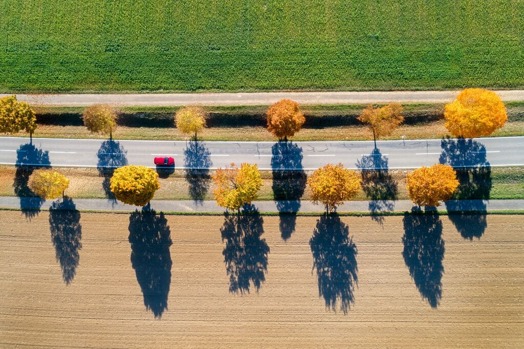 Medium-GettyImages-1060154392