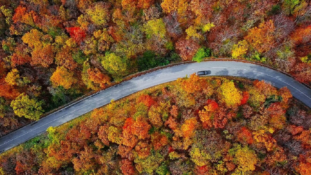 Autumn road - no people - cropped