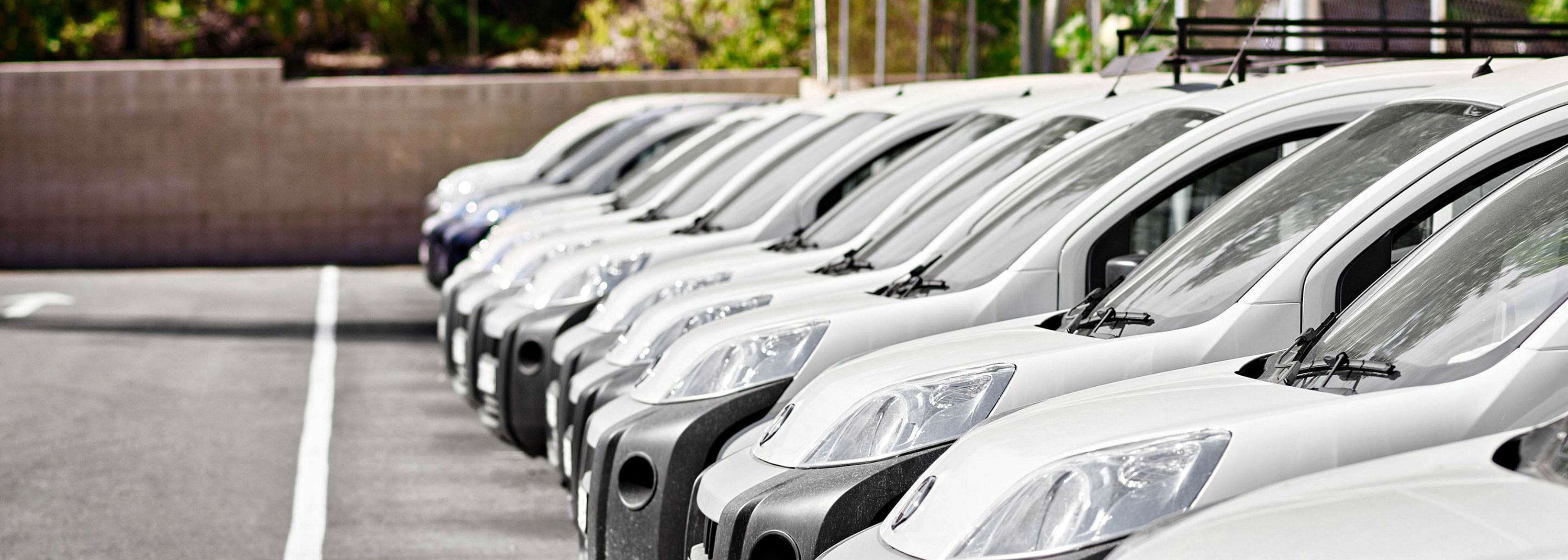 White vans in the row